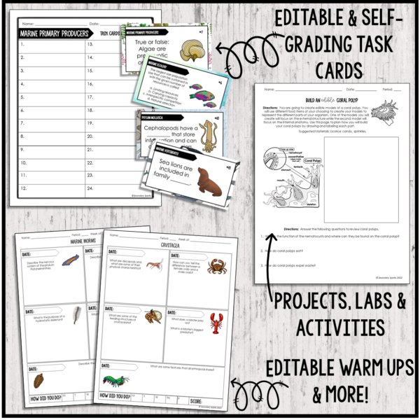 Marine Science Year Long Curriculum task cards and warm ups
