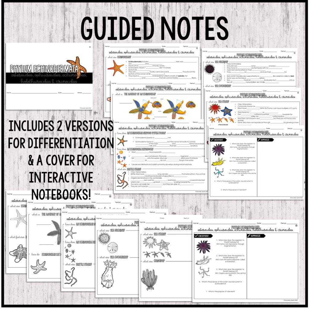 Echinoderms Quick Lesson Guided Notes and Assessment - Secondary Sparks