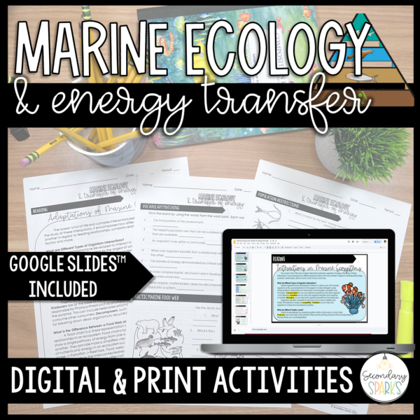 marine ecology activities for marine science class