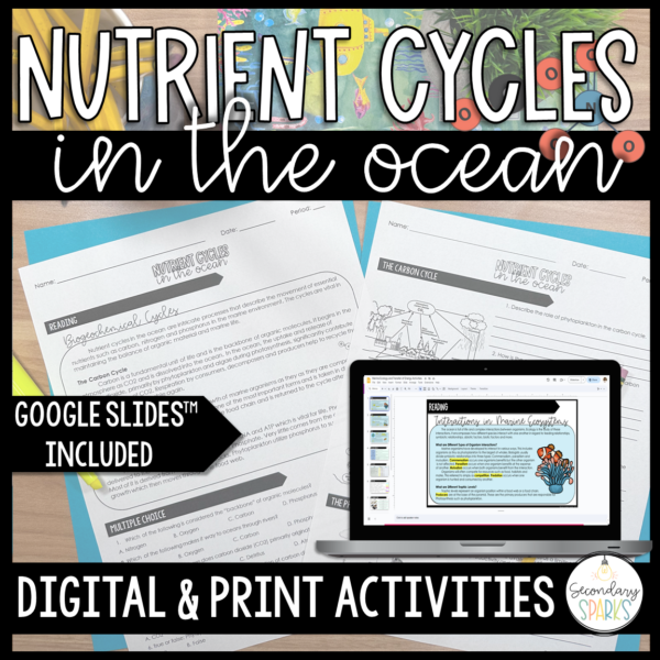 Nutrient cycles activities for a marine science class