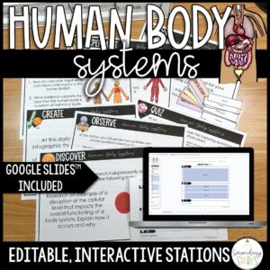 human body systems stations