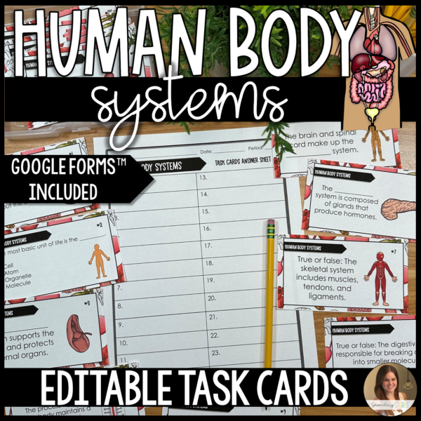 Human body systems task cards