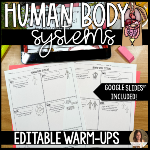 Human body systems warm ups