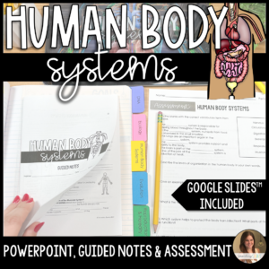 human body systems lesson cover