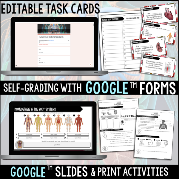 human body systems unit bundle task cards and google slides activities