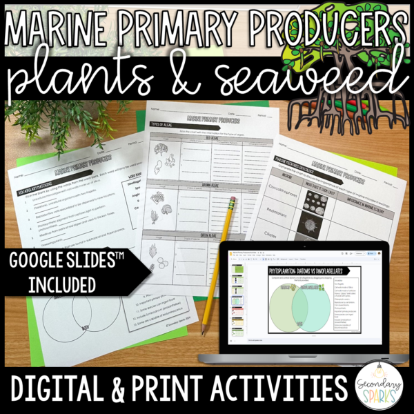 marine primary producers activities