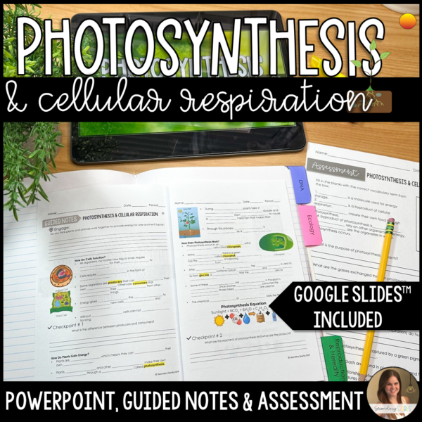 Photosynthesis and Cellular Respiration Lesson cover