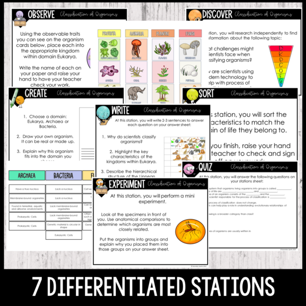 taxonomy stations activities