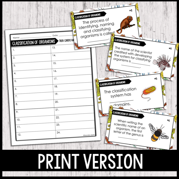 classification task cards print