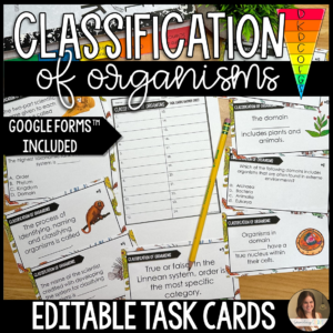 classification task cards
