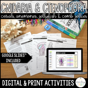 Ctenophora and cnidaria activities
