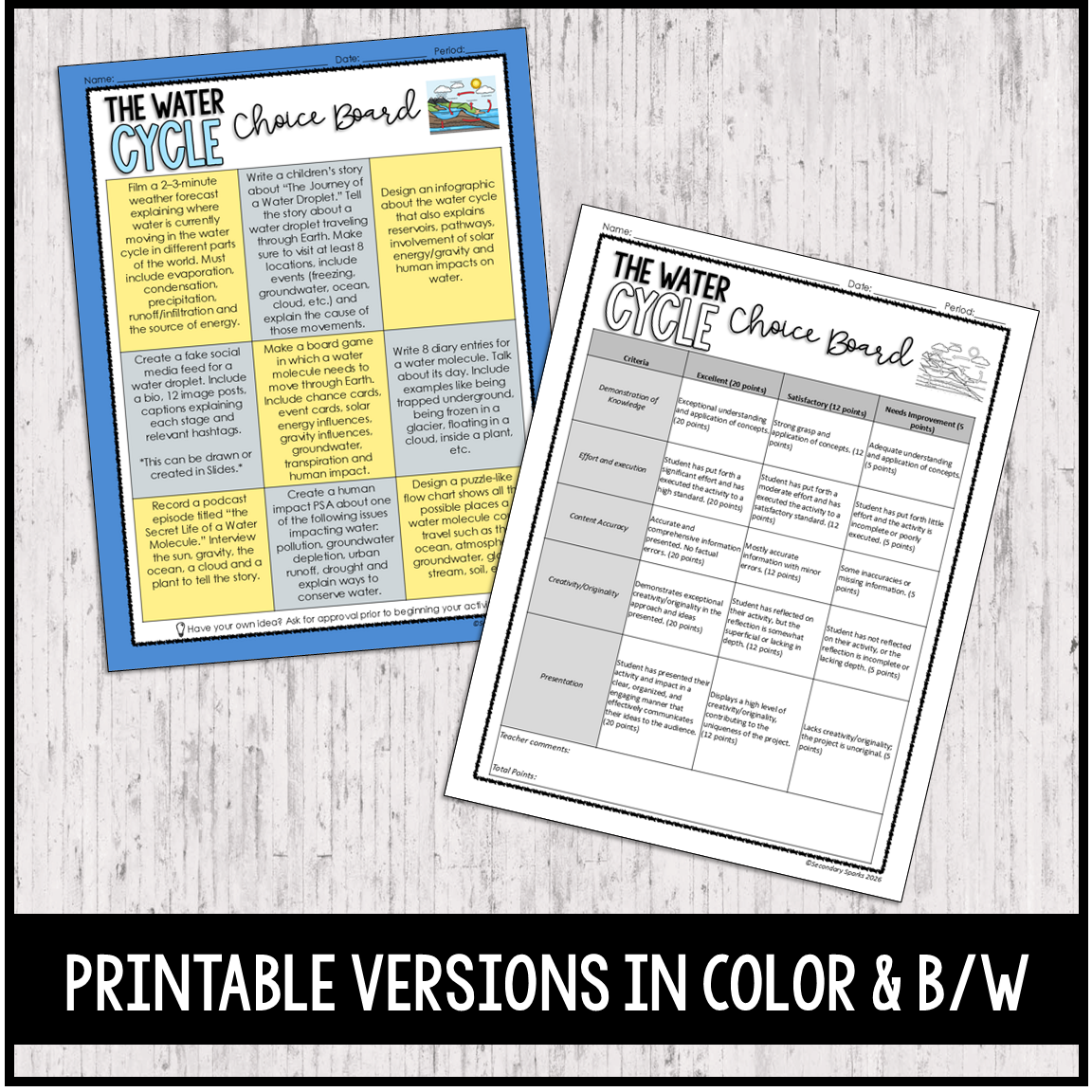The Water Cycle Choice Board Project - Editable & Google Slides™ - Image 2