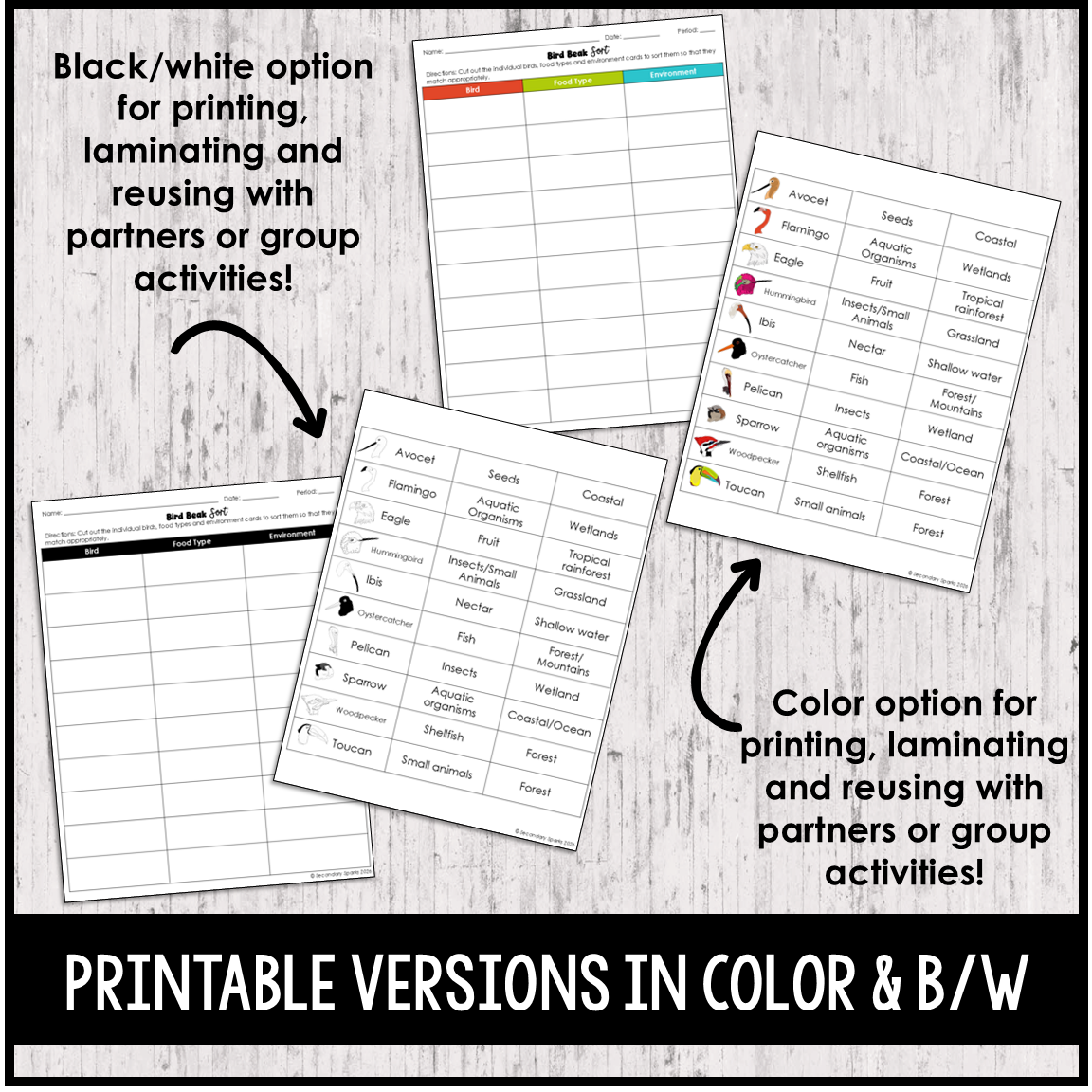 Bird Beak Sort Activity - Evolution and Adaptations - Print & Digital
